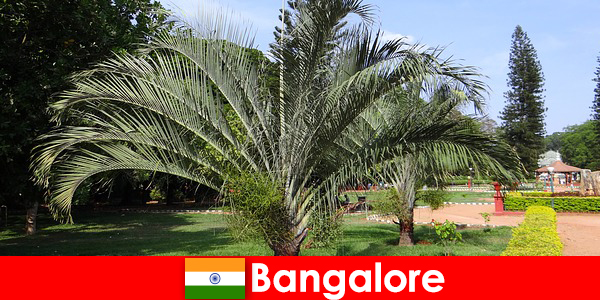 Bangalore kellemes éghajlat egész évben minden külföldi érdemes egy utazás