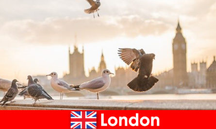 Látnivalók Londonban a nemzetközi látogatók számára
