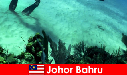 Kalandtevékenységek itt: Johor Bahru Diving, climbing, hiking and much more