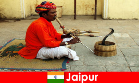 Jaipur Indiában a nyaralók kígyótáncokat és szórakozást tapasztalnak a nyüzsgő utcákon
