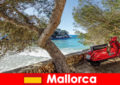 Rövid kirándulás Mallorca spanyolországi látogatói számára a legjobb idő kerékpározásra és túrázásra
