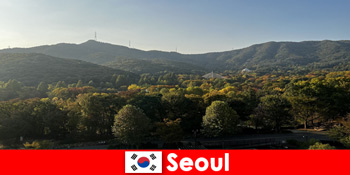 Népszerű csoportos üdülési csomagok Szöulba Dél-Koreába