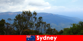 Pihentető kemping nyaralás természetturisták sydney-i Ausztrália