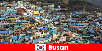 Utazás külföldre Busan Dél-Koreába élelmiszerkultúrával minden sarkon kevés pénzért