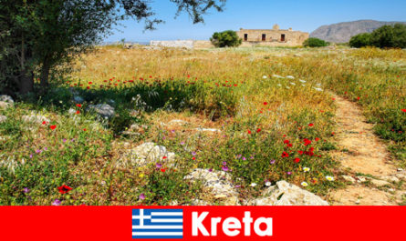 Egészséges mediterrán ételek természetvédelmi élménnyel várják a nyaralókat Krétán