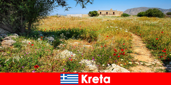 Egészséges mediterrán ételek természetvédelmi élménnyel várják a nyaralókat Krétán