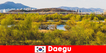 A legjobb független utazó tippek Daeguban, Dél-Koreában