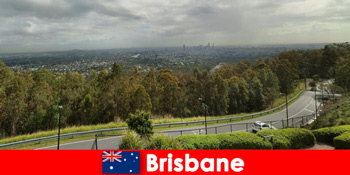 Gyűjtsön nagyszerű benyomásokat, akár egészséges, akár egészségtelen Brisbane-ben Ausztráliában, mint idegen