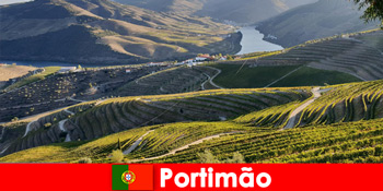 A vendégek imádják a borkóstolókat és a finomságokat a portimão portugáliai hegyekben