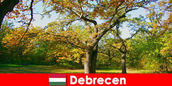 Fürdőüdülés nyugdíjasoknak Debrecenben Magyarország sok szívvel