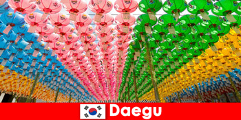 Úti cél családjával Daeguba Dél-Korea Megtapasztalja a sokszínűséget